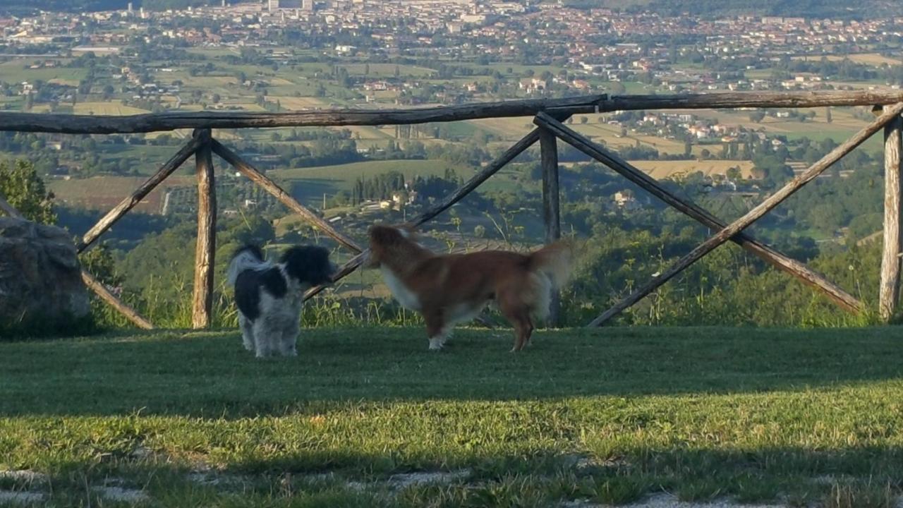 Agriturismo Countryhouse Le Giare Gubbio Exteriér fotografie