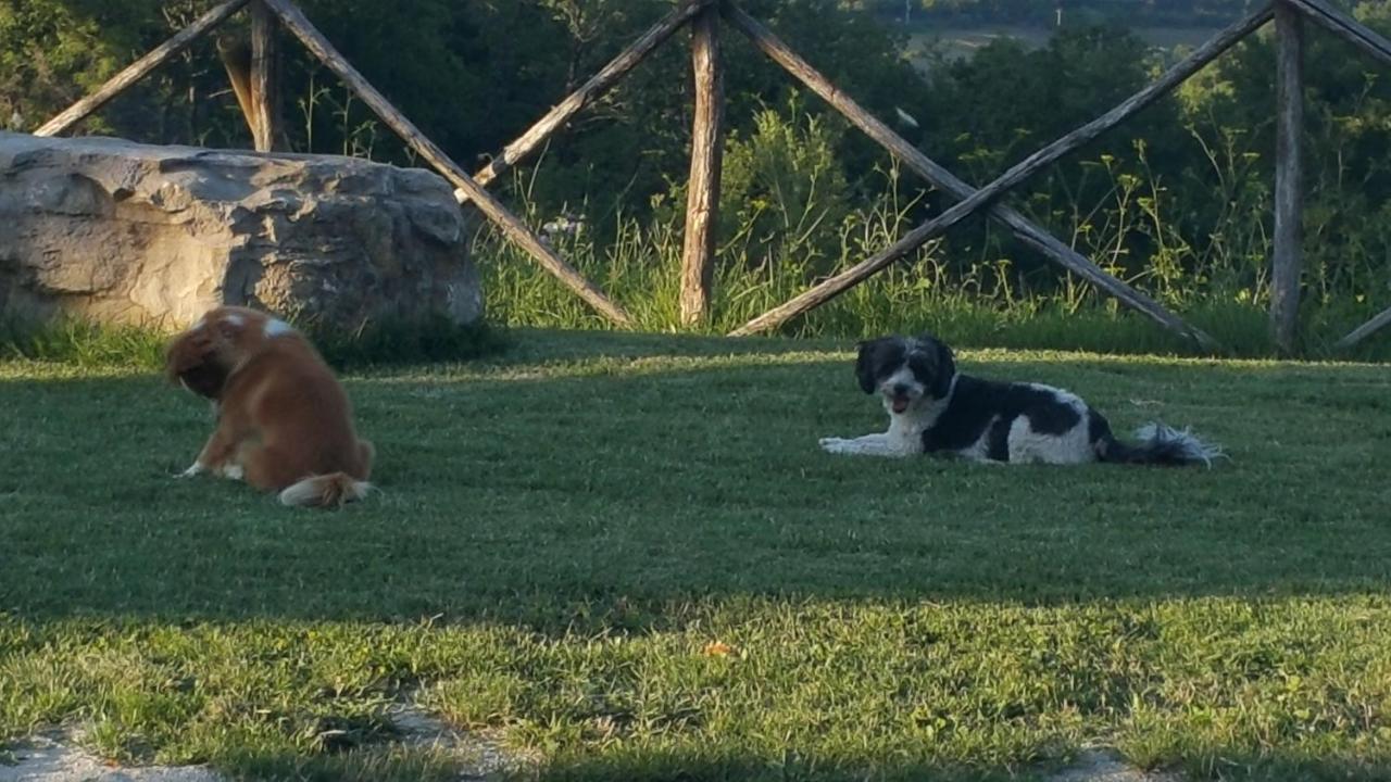 Agriturismo Countryhouse Le Giare Gubbio Exteriér fotografie